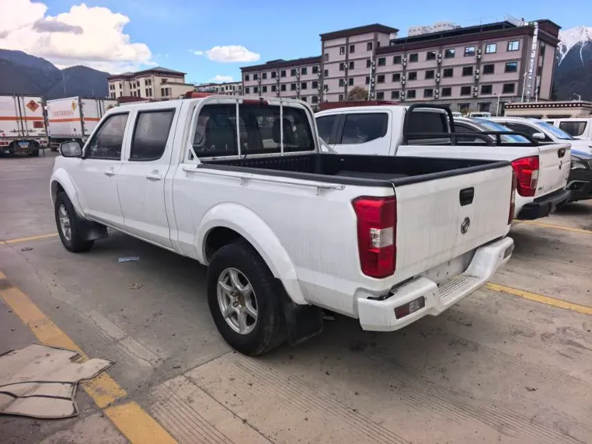 2021 Dongfeng RuiQi 2.4L 158HP L4 5MT,autocango,china used car exporter,china ev exporter,chinese used car exporter,chinese used ev exporter