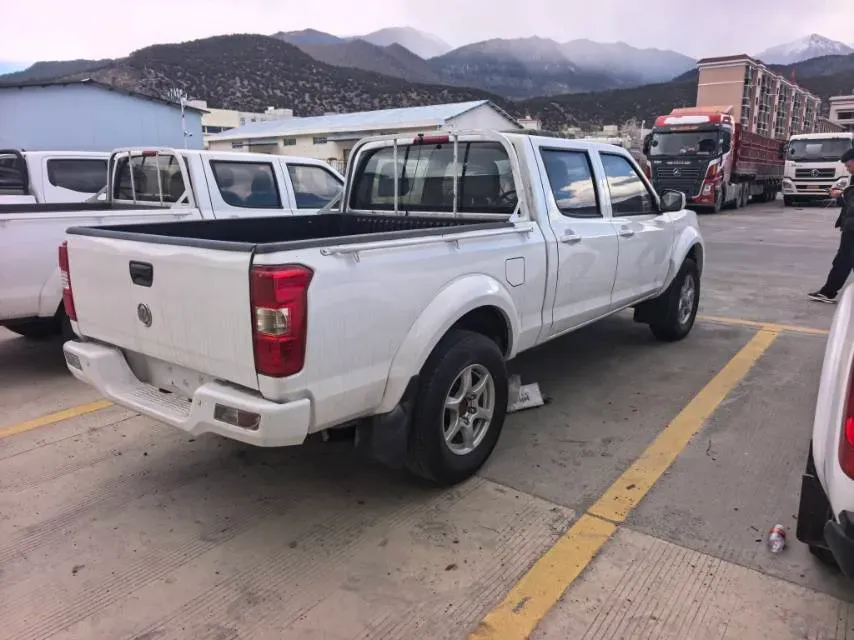 2021 Dongfeng RuiQi 2.4L 158HP L4 5MT,autocango,china used car exporter,china ev exporter,chinese used car exporter,chinese used ev exporter