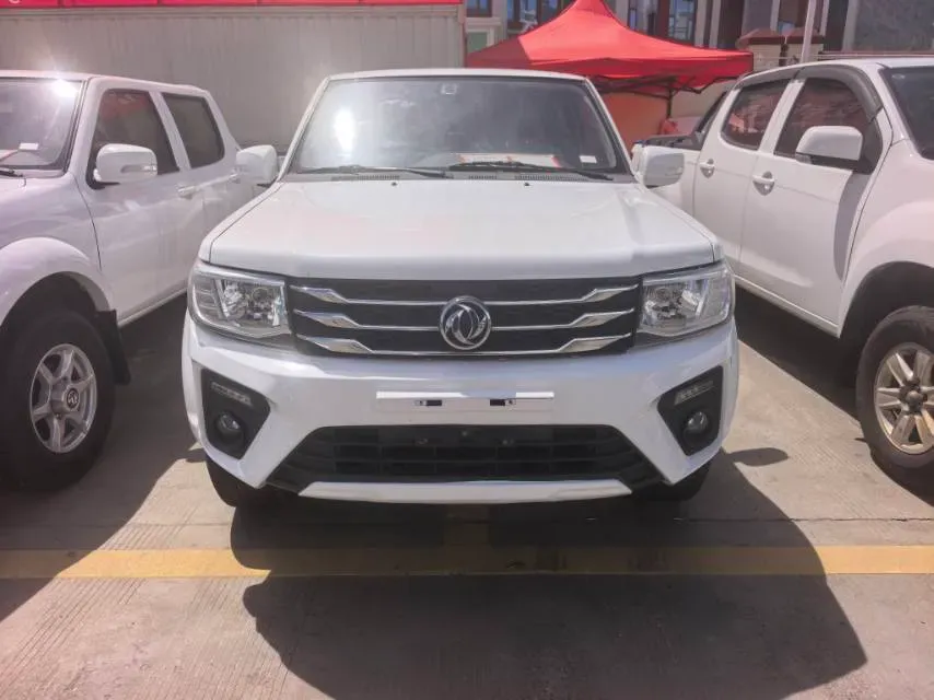 2021 Dongfeng RuiQi 2.4L 158HP L4 5MT,autocango,china used car exporter,china ev exporter,chinese used car exporter,chinese used ev exporter