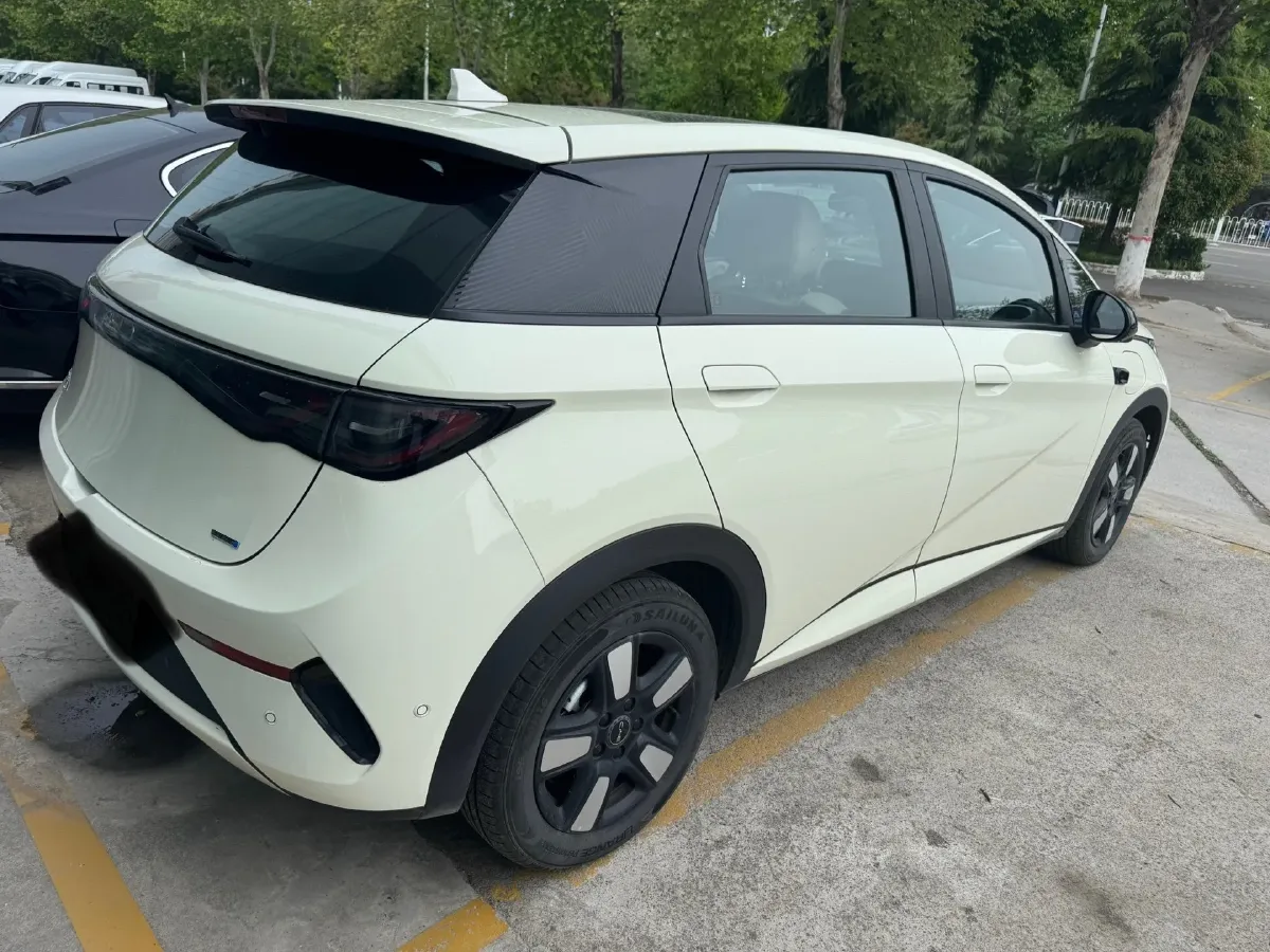 2025 BYD Dolphin BEV 45.12KWH,autocango,china used car exporter,china ev exporter,chinese used car exporter,chinese used ev exporter