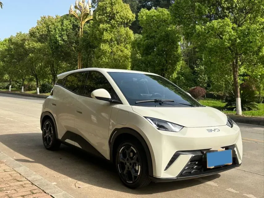 2023 BYD Seagull BEV 30.08KWH,autocango,china used car exporter,china ev exporter,chinese used car exporter,chinese used ev exporter