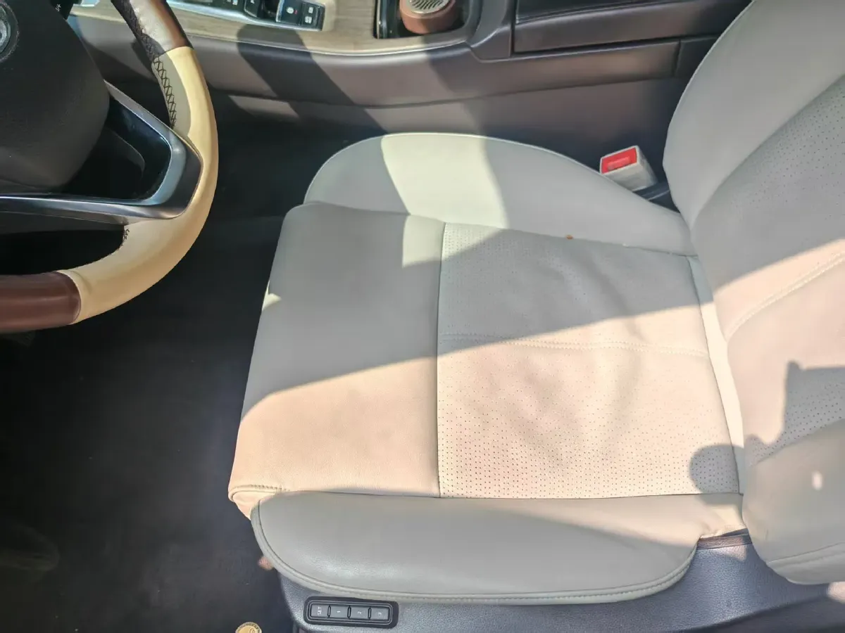 2021 GAC Trumpchi M8 2.0T 252HP L4 8AT,autocango,china used car exporter,china ev exporter,chinese used car exporter,chinese used ev exporter