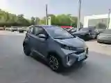 2019 Chery Little Ant BEV 35KWH