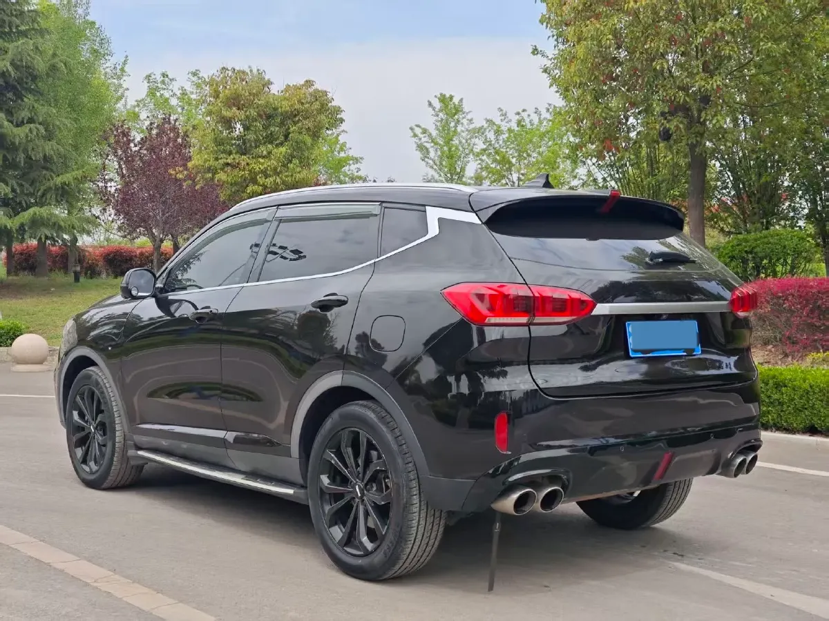 2020 WEY VV6 2.0T 227HP L4 7DCT,autocango,china used car exporter,china ev exporter,chinese used car exporter,chinese used ev exporter