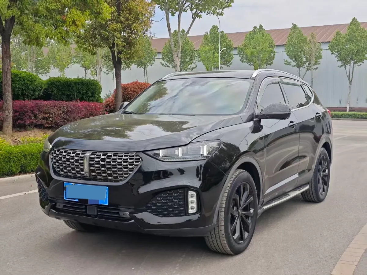 2020 WEY VV6 2.0T 227HP L4 7DCT,autocango,china used car exporter,china ev exporter,chinese used car exporter,chinese used ev exporter