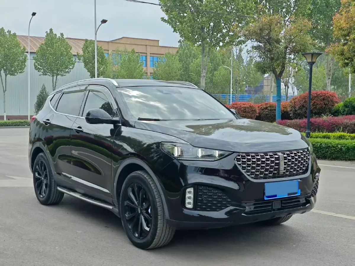 2020 WEY VV6 2.0T 227HP L4 7DCT,autocango,china used car exporter,china ev exporter,chinese used car exporter,chinese used ev exporter