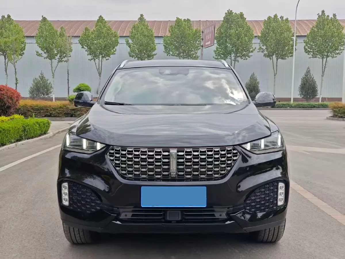2020 WEY VV6 2.0T 227HP L4 7DCT,autocango,china used car exporter,china ev exporter,chinese used car exporter,chinese used ev exporter