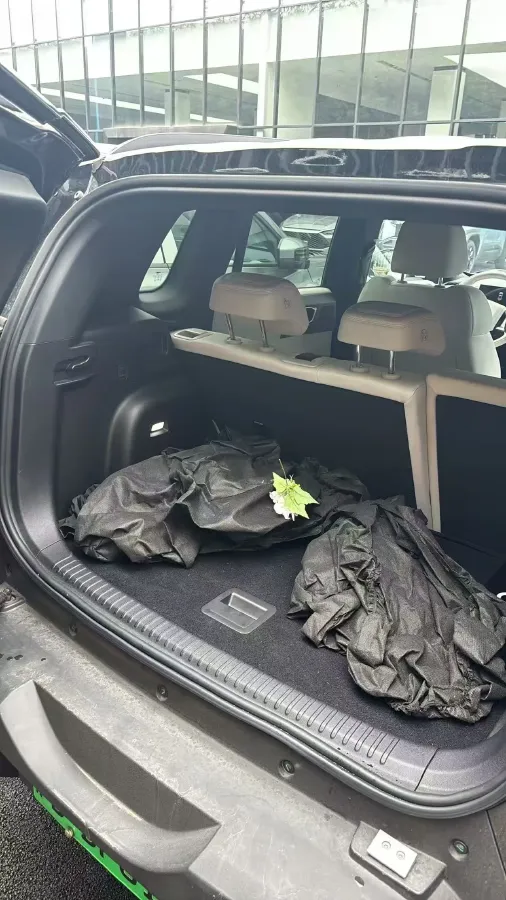 2025 FangChengBao Tai 3 BEV,autocango,china used car exporter,china ev exporter,chinese used car exporter,chinese used ev exporter