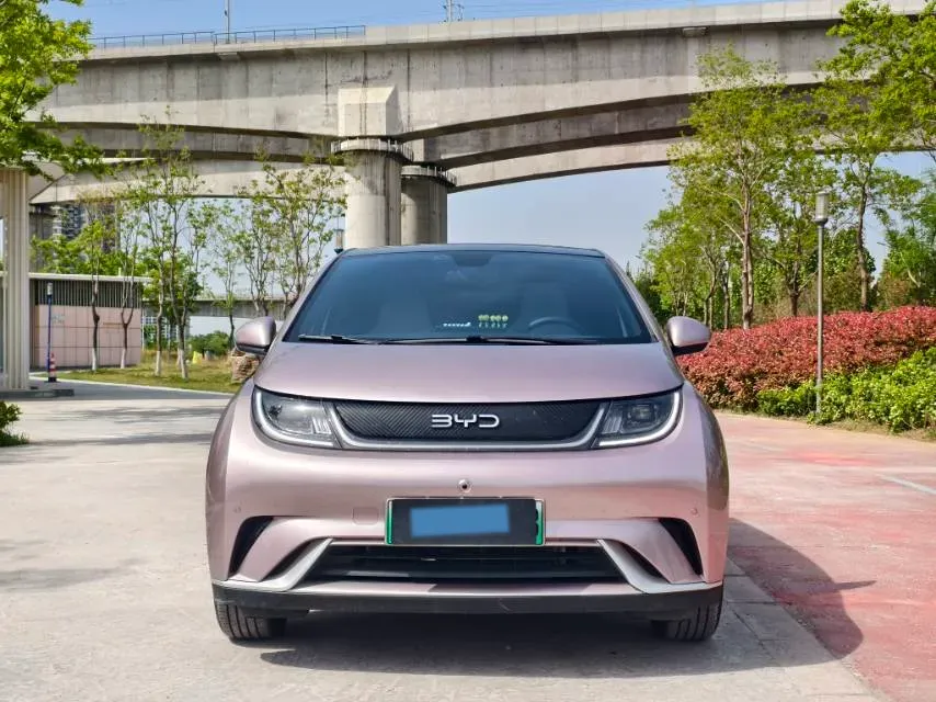 2025 BYD Dolphin BEV 44.928KWH,autocango,china used car exporter,china ev exporter,chinese used car exporter,chinese used ev exporter