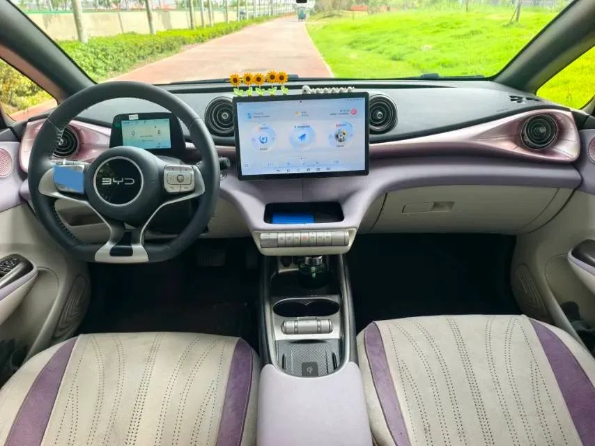 2025 BYD Dolphin BEV 44.928KWH,autocango,china used car exporter,china ev exporter,chinese used car exporter,chinese used ev exporter