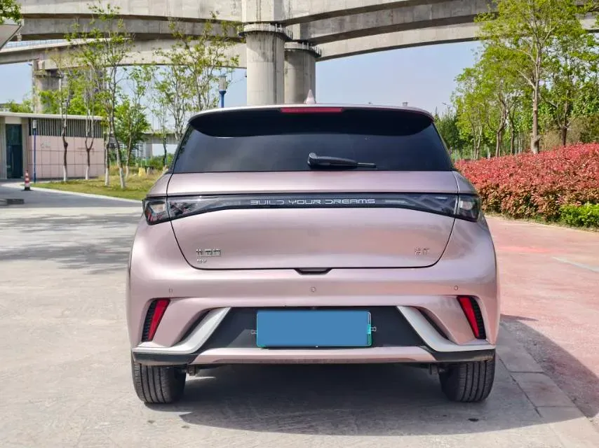 2025 BYD Dolphin BEV 44.928KWH,autocango,china used car exporter,china ev exporter,chinese used car exporter,chinese used ev exporter