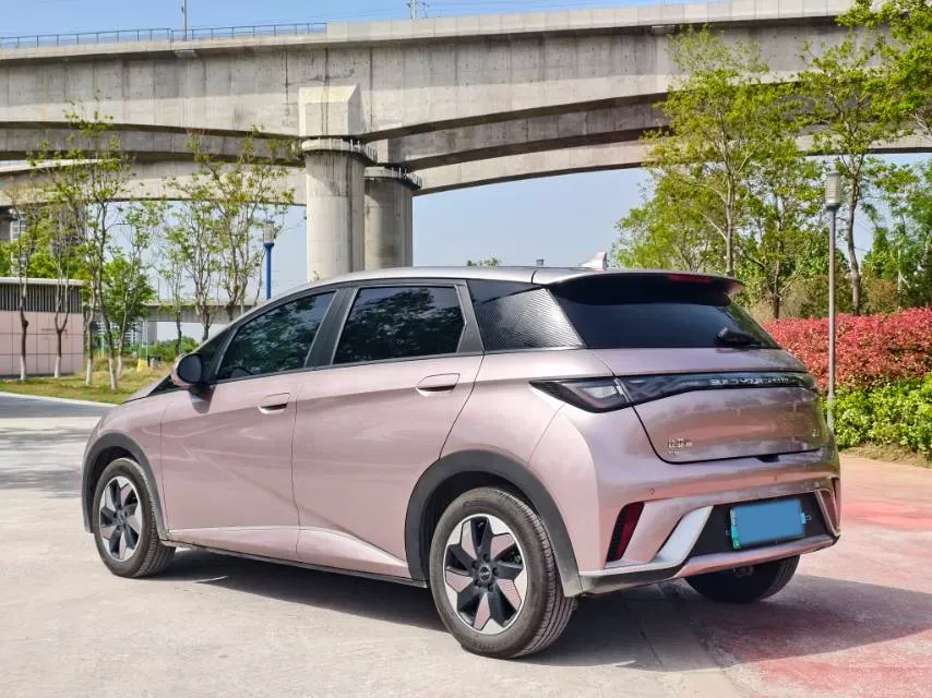 2025 BYD Dolphin BEV 44.928KWH,autocango,china used car exporter,china ev exporter,chinese used car exporter,chinese used ev exporter