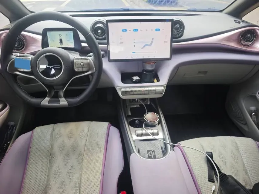 2023 BYD Dolphin BEV 44.928KWH,autocango,china used car exporter,china ev exporter,chinese used car exporter,chinese used ev exporter