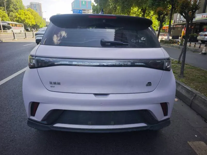 2023 BYD Dolphin BEV 44.928KWH,autocango,china used car exporter,china ev exporter,chinese used car exporter,chinese used ev exporter