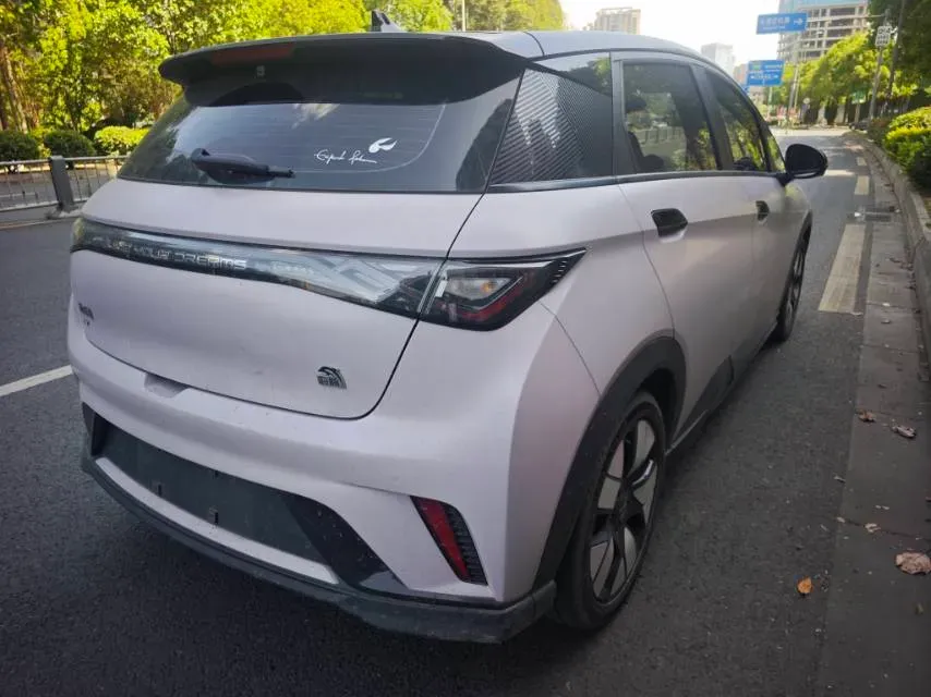 2023 BYD Dolphin BEV 44.928KWH,autocango,china used car exporter,china ev exporter,chinese used car exporter,chinese used ev exporter