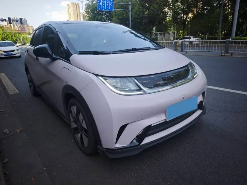 2023 BYD Dolphin BEV 44.928KWH,autocango,china used car exporter,china ev exporter,chinese used car exporter,chinese used ev exporter