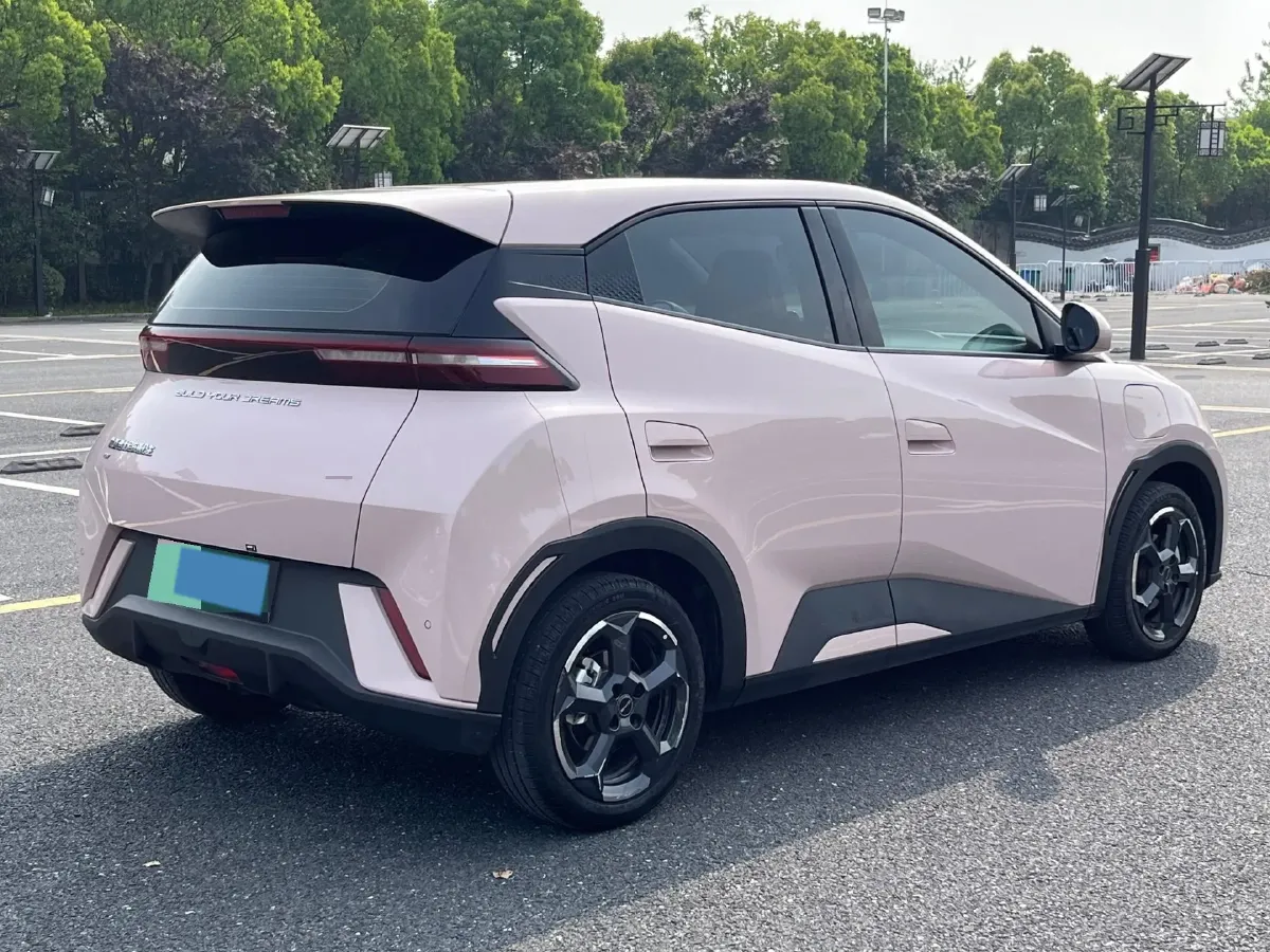 2024 BYD Seagull BEV 38.88KWH,autocango,china used car exporter,china ev exporter,chinese used car exporter,chinese used ev exporter