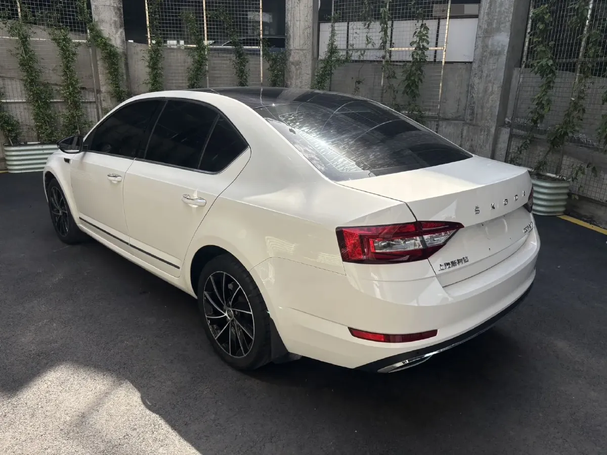 2019 Skoda Octavia 1.4T 150HP L4 7DCT,autocango,china used car exporter,china ev exporter,chinese used car exporter,chinese used ev exporter