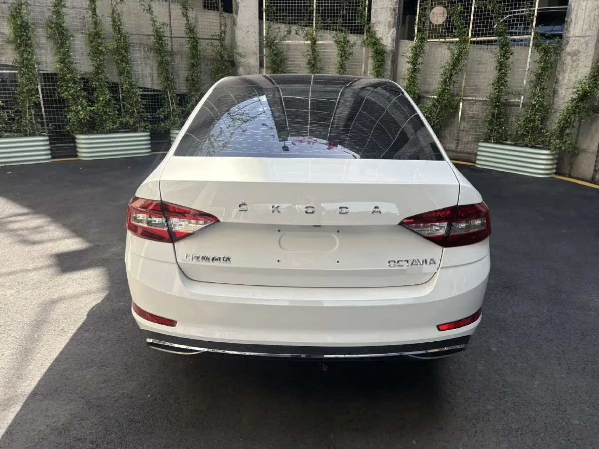 2019 Skoda Octavia 1.4T 150HP L4 7DCT,autocango,china used car exporter,china ev exporter,chinese used car exporter,chinese used ev exporter