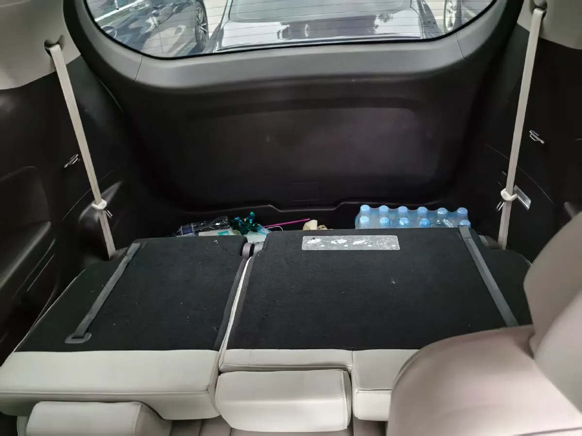 2021 GAC Trumpchi M8 2.0T 252HP L4 8AT,autocango,china used car exporter,china ev exporter,chinese used car exporter,chinese used ev exporter