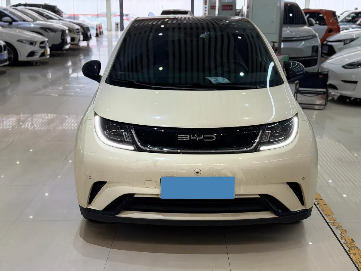 2023 BYD Dolphin BEV 44.928KWH,autocango,china used car exporter,china ev exporter,chinese used car exporter,chinese used ev exporter