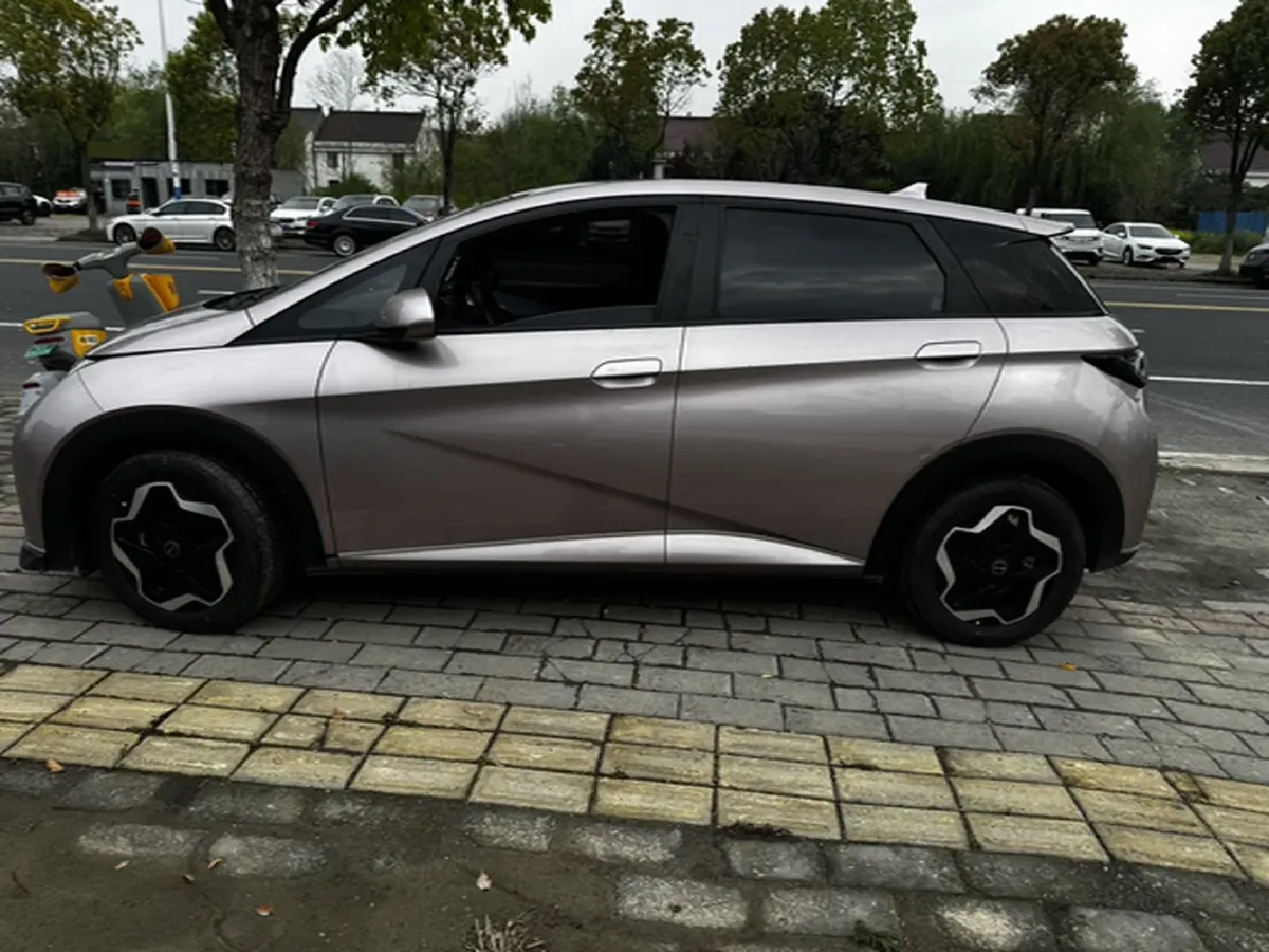 2021 Ford Escort 1.5L 122HP L3 6AT,autocango,china used car exporter,china ev exporter,chinese used car exporter,chinese used ev exporter