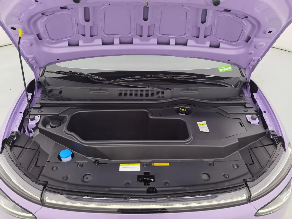 2024 DongFeng eπ 01 BEV 31.45KWH,autocango,china used car exporter,china ev exporter,chinese used car exporter,chinese used ev exporter