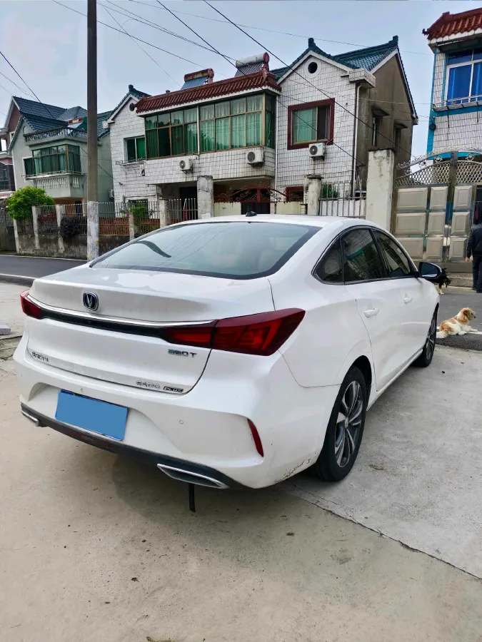 2020 ChangAn Eado 1.4T 158HP L4 7DCT,autocango,china used car exporter,china ev exporter,chinese used car exporter,chinese used ev exporter