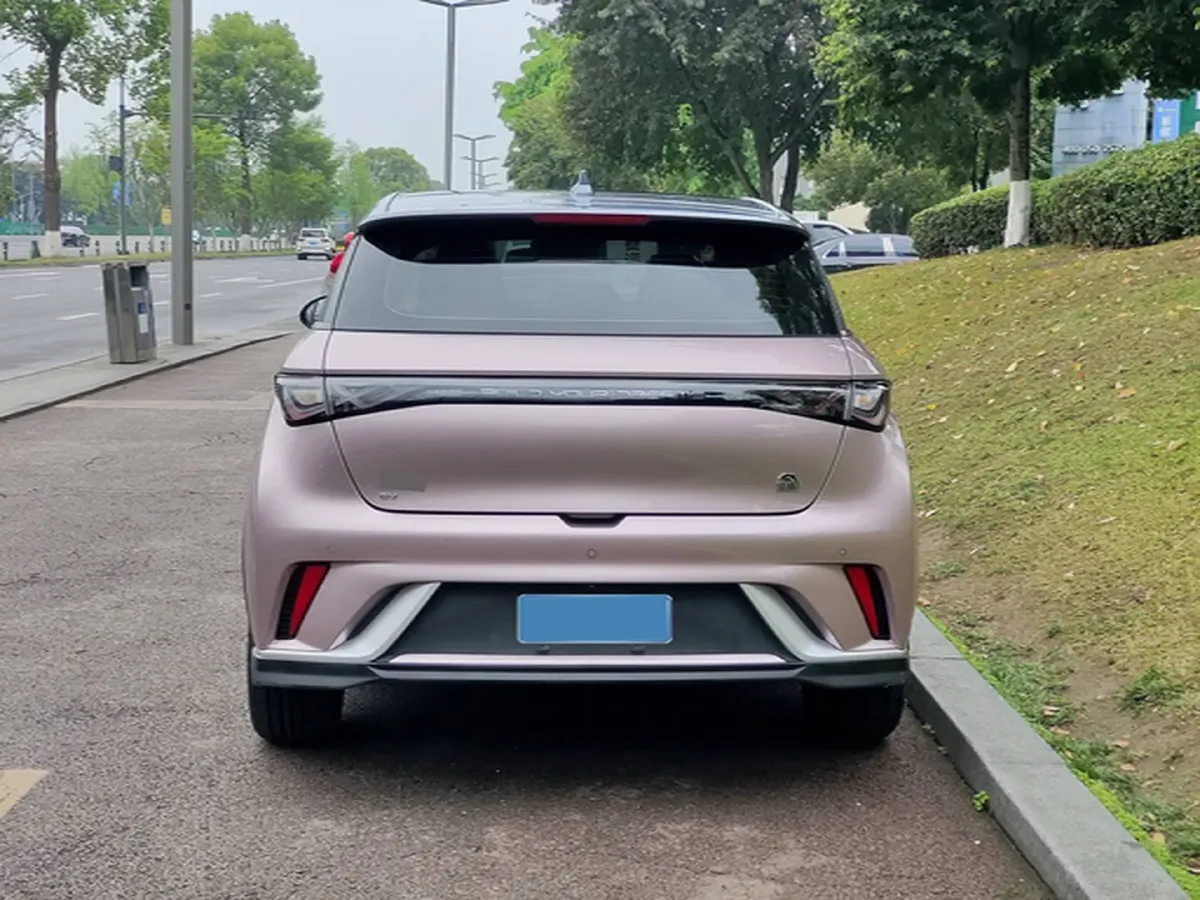 2024 BYD Dolphin BEV 44.928KWH,autocango,china used car exporter,china ev exporter,chinese used car exporter,chinese used ev exporter