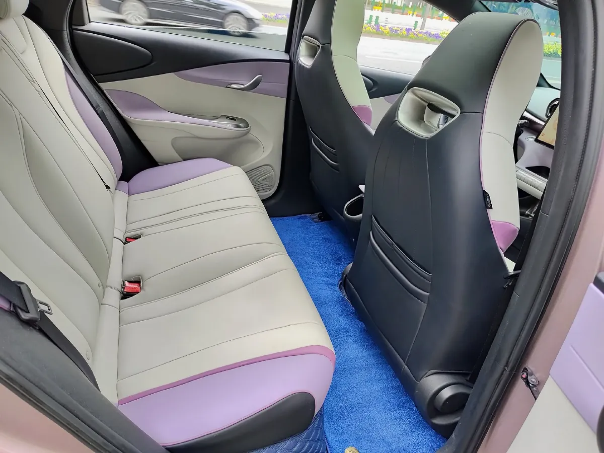 2024 BYD Dolphin BEV 44.928KWH,autocango,china used car exporter,china ev exporter,chinese used car exporter,chinese used ev exporter