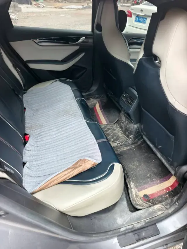 2021 DongFeng FuKang e Elysee BEV 30.7KWH,autocango,china used car exporter,china ev exporter,chinese used car exporter,chinese used ev exporter