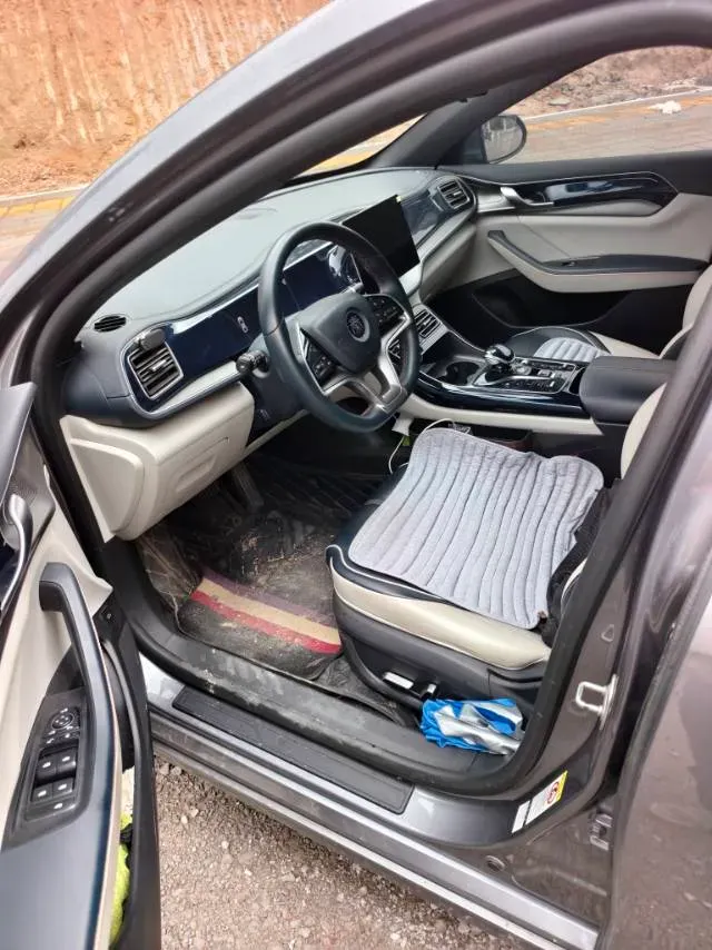 2021 DongFeng FuKang e Elysee BEV 30.7KWH,autocango,china used car exporter,china ev exporter,chinese used car exporter,chinese used ev exporter