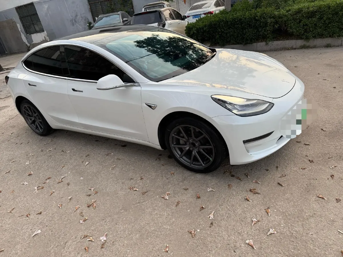 2020 Tesla Model 3 BEV 76.8KWH,autocango,china used car exporter,china ev exporter,chinese used car exporter,chinese used ev exporter