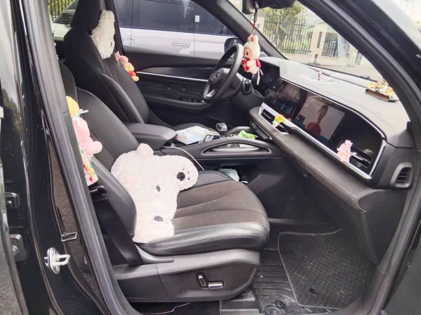 2024 Geely Monjaro 2.0T 238HP L4 8AT,autocango,china used car exporter,china ev exporter,chinese used car exporter,chinese used ev exporter