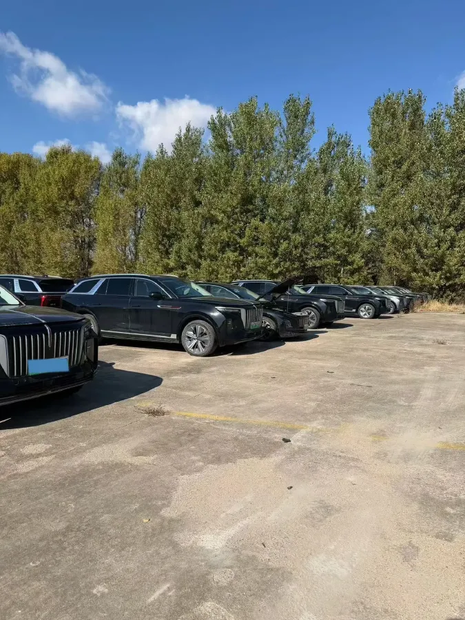 2022 HongQi E-HS9 BEV 120KWH,autocango,china used car exporter,china ev exporter,chinese used car exporter,chinese used ev exporter