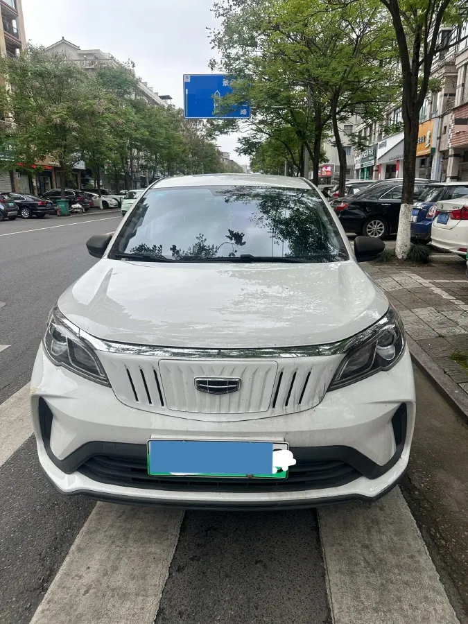 2021 Geometry EX3 BEV 37.23KWH,autocango,china used car exporter,china ev exporter,chinese used car exporter,chinese used ev exporter