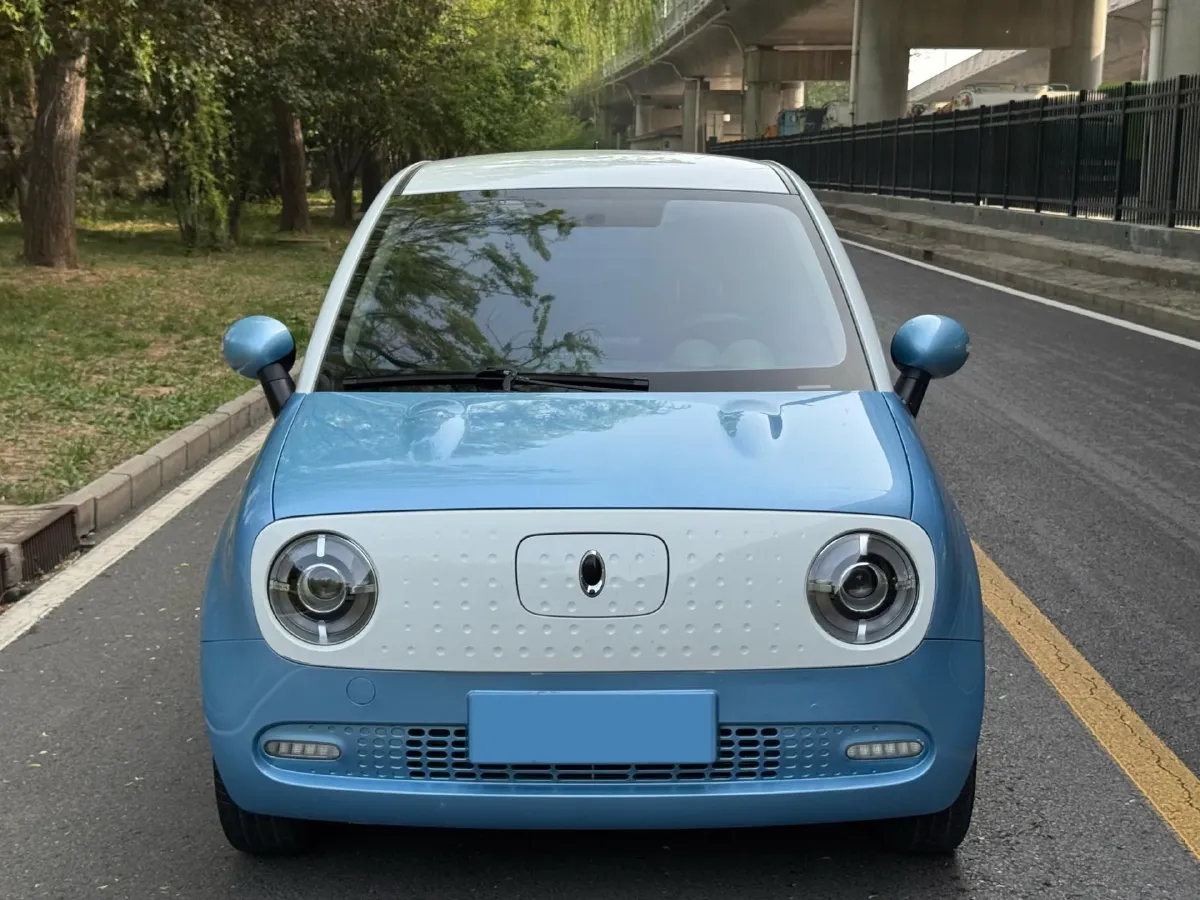 2021 Ora BlackCat BEV 33KWH,autocango,china used car exporter,china ev exporter,chinese used car exporter,chinese used ev exporter