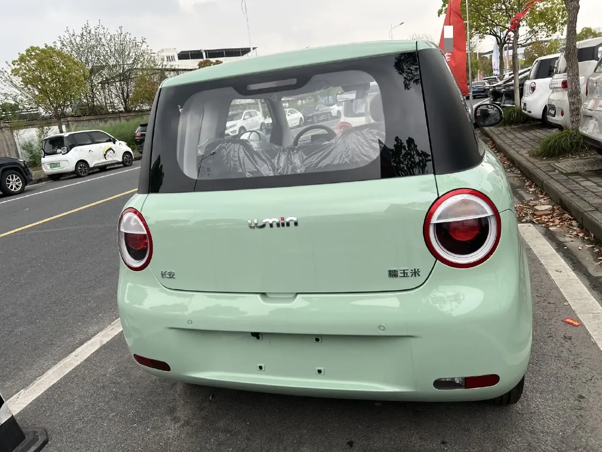 2025 ChangAn QiYuan Lumin BEV,autocango,china used car exporter,china ev exporter,chinese used car exporter,chinese used ev exporter