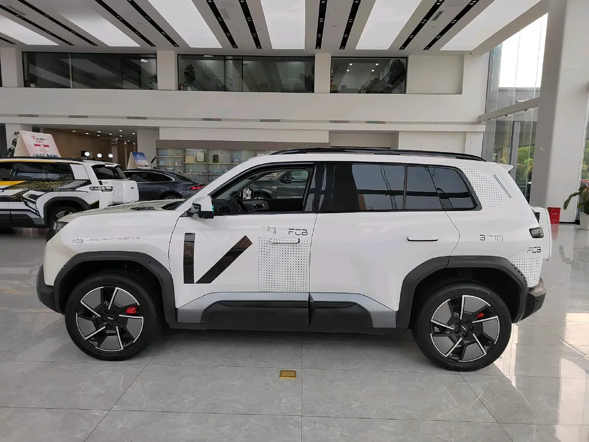 2025 FangChengBao Tai 3 BEV,autocango,china used car exporter,china ev exporter,chinese used car exporter,chinese used ev exporter