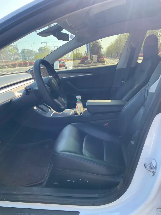 2021 Tesla Model 3 BEV 55KWH,autocango,china used car exporter,china ev exporter,chinese used car exporter,chinese used ev exporter