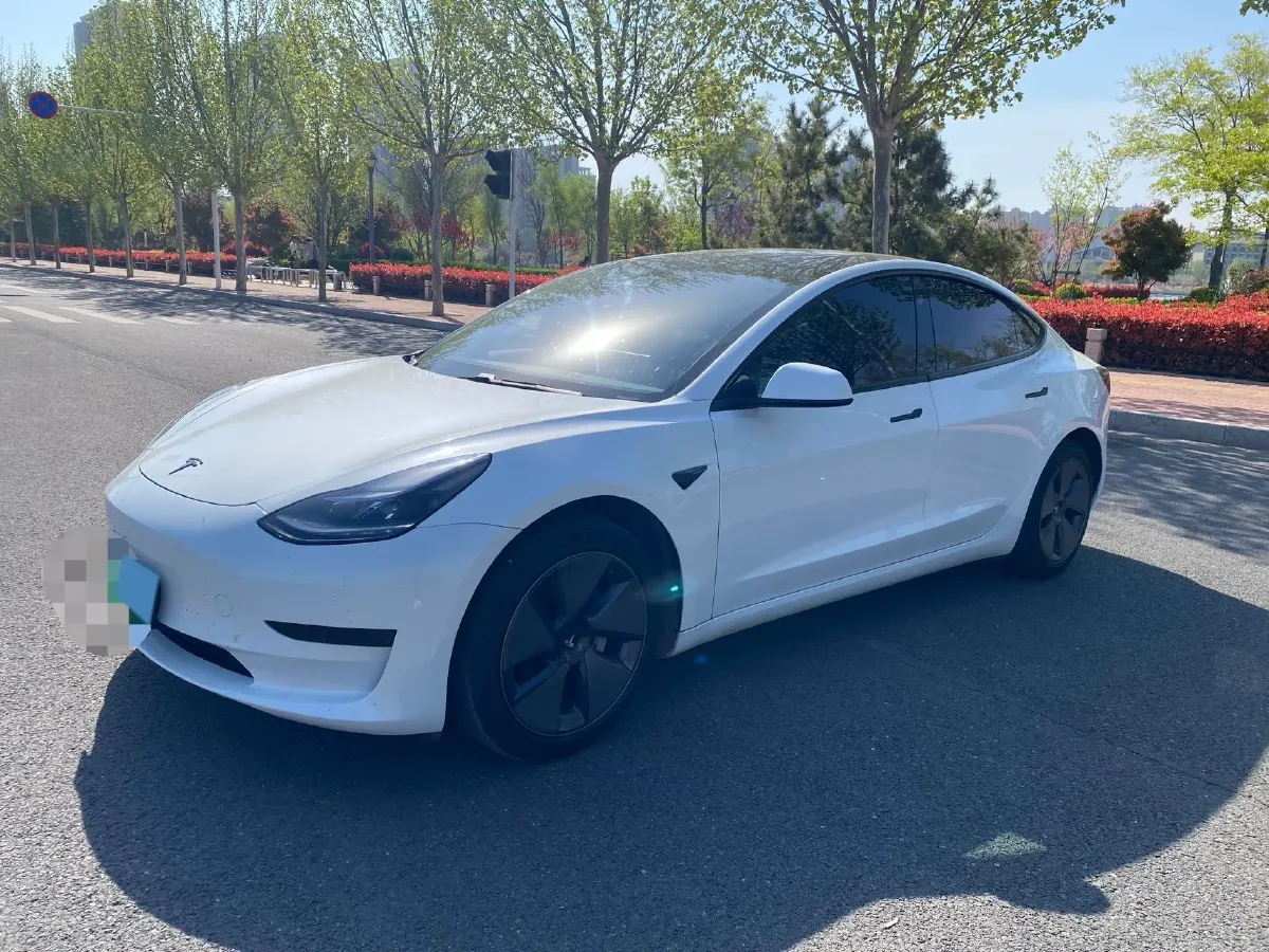 2021 Tesla Model 3 BEV 55KWH,autocango,china used car exporter,china ev exporter,chinese used car exporter,chinese used ev exporter
