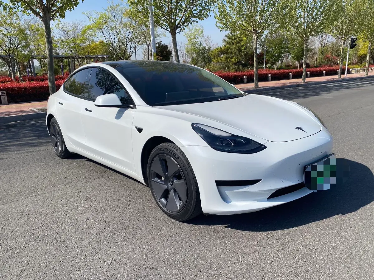 2021 Tesla Model 3 BEV 55KWH,autocango,china used car exporter,china ev exporter,chinese used car exporter,chinese used ev exporter