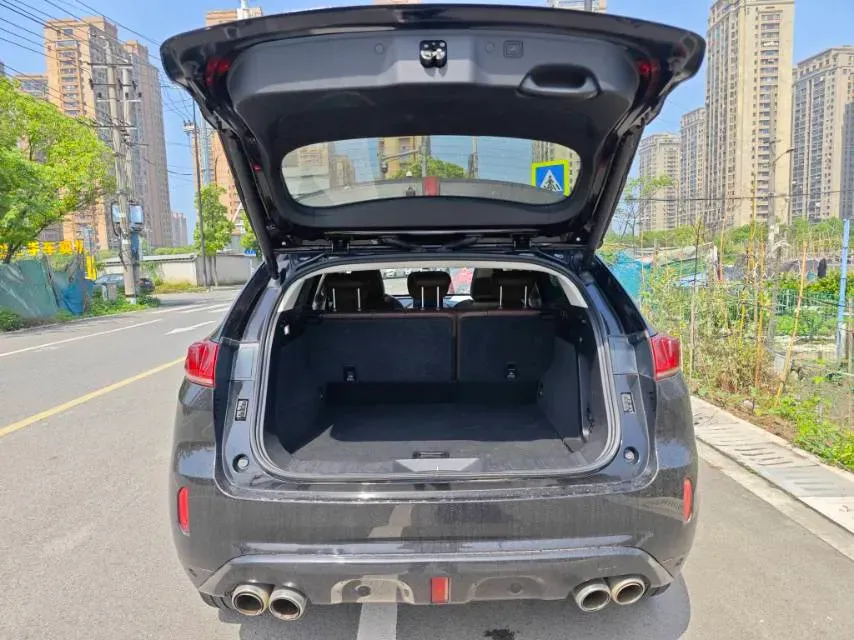 2019 WEY VV7 2.0T 227HP L4 7DCT,autocango,china used car exporter,china ev exporter,chinese used car exporter,chinese used ev exporter