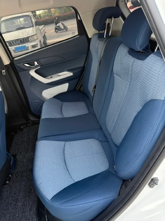 2023 EV House YOUNG BEV 38.54KWH,autocango,china used car exporter,china ev exporter,chinese used car exporter,chinese used ev exporter