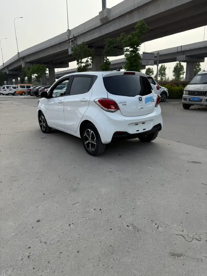 2023 EV House YOUNG BEV 38.54KWH,autocango,china used car exporter,china ev exporter,chinese used car exporter,chinese used ev exporter