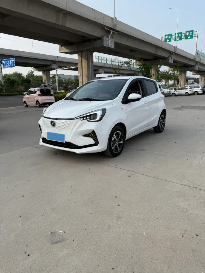 2023 EV House YOUNG BEV 38.54KWH,autocango,china used car exporter,china ev exporter,chinese used car exporter,chinese used ev exporter
