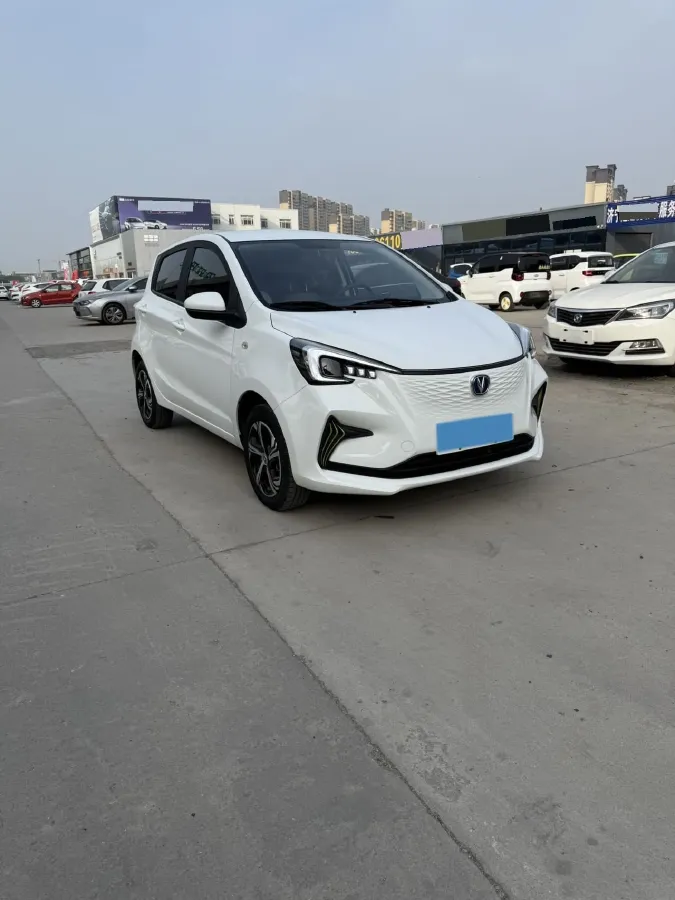 2023 EV House YOUNG BEV 38.54KWH,autocango,china used car exporter,china ev exporter,chinese used car exporter,chinese used ev exporter