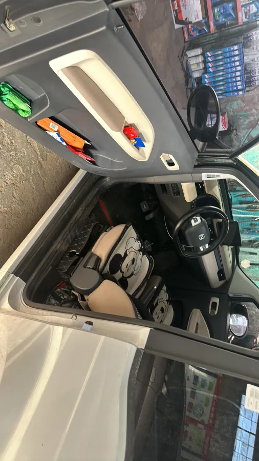 2024 Chery QQ Ice Cream BEV 17.4KWH,autocango,china used car exporter,china ev exporter,chinese used car exporter,chinese used ev exporter