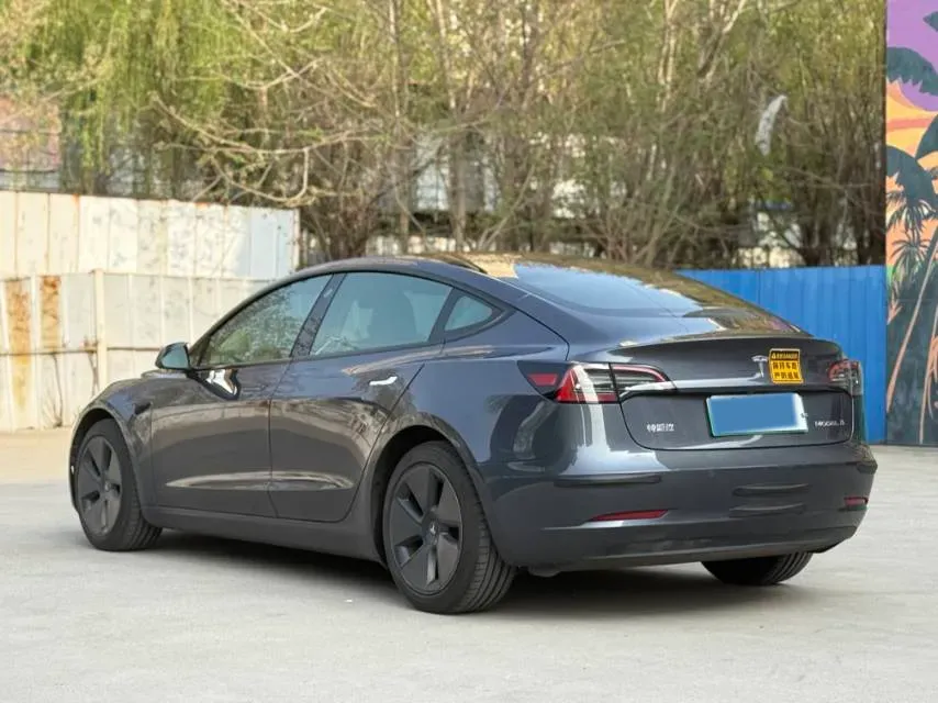 2022 Tesla Model 3 BEV 60KWH,autocango,china used car exporter,china ev exporter,chinese used car exporter,chinese used ev exporter