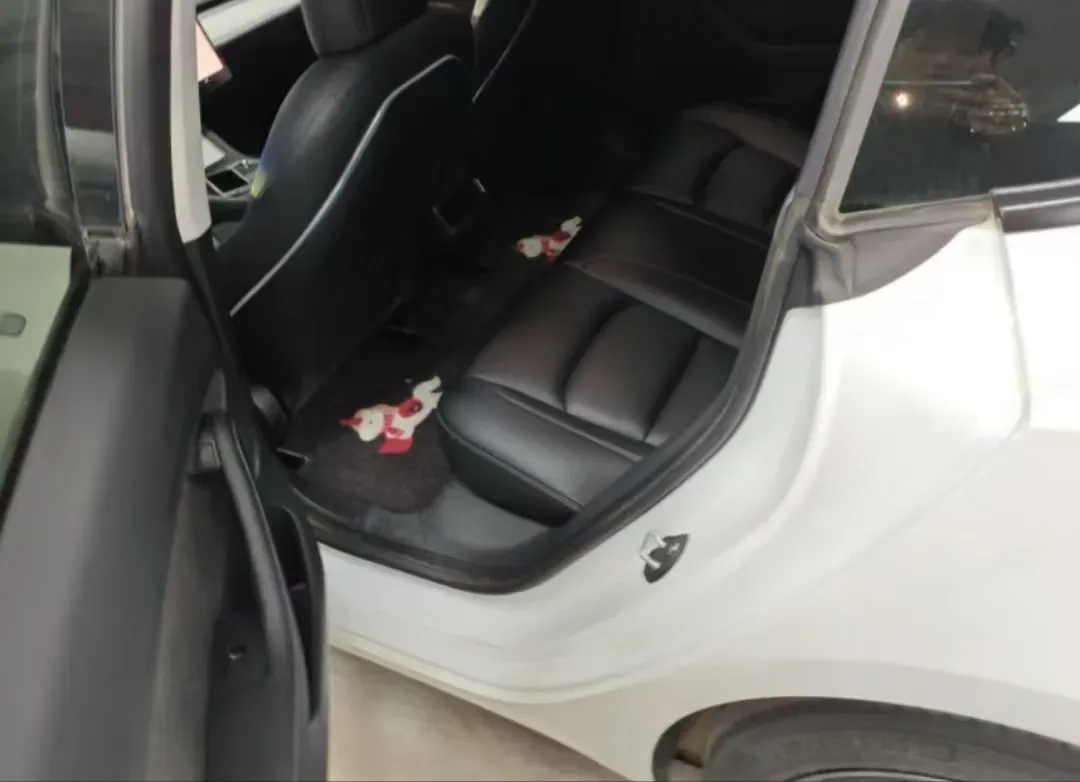 2022 Tesla Model 3 BEV 60KWH,autocango,china used car exporter,china ev exporter,chinese used car exporter,chinese used ev exporter